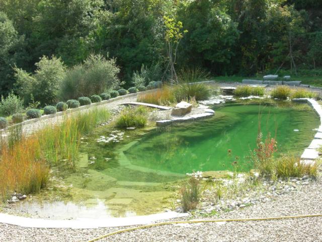 Schwimmteich Artenvielfalt